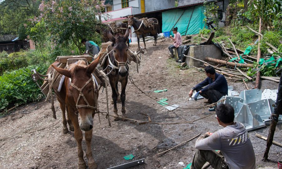 日入四百的小生意（靠驮运铁塔日入400）