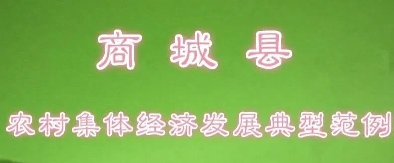 在商城县做什么小生意好（小针织厂致富全村）