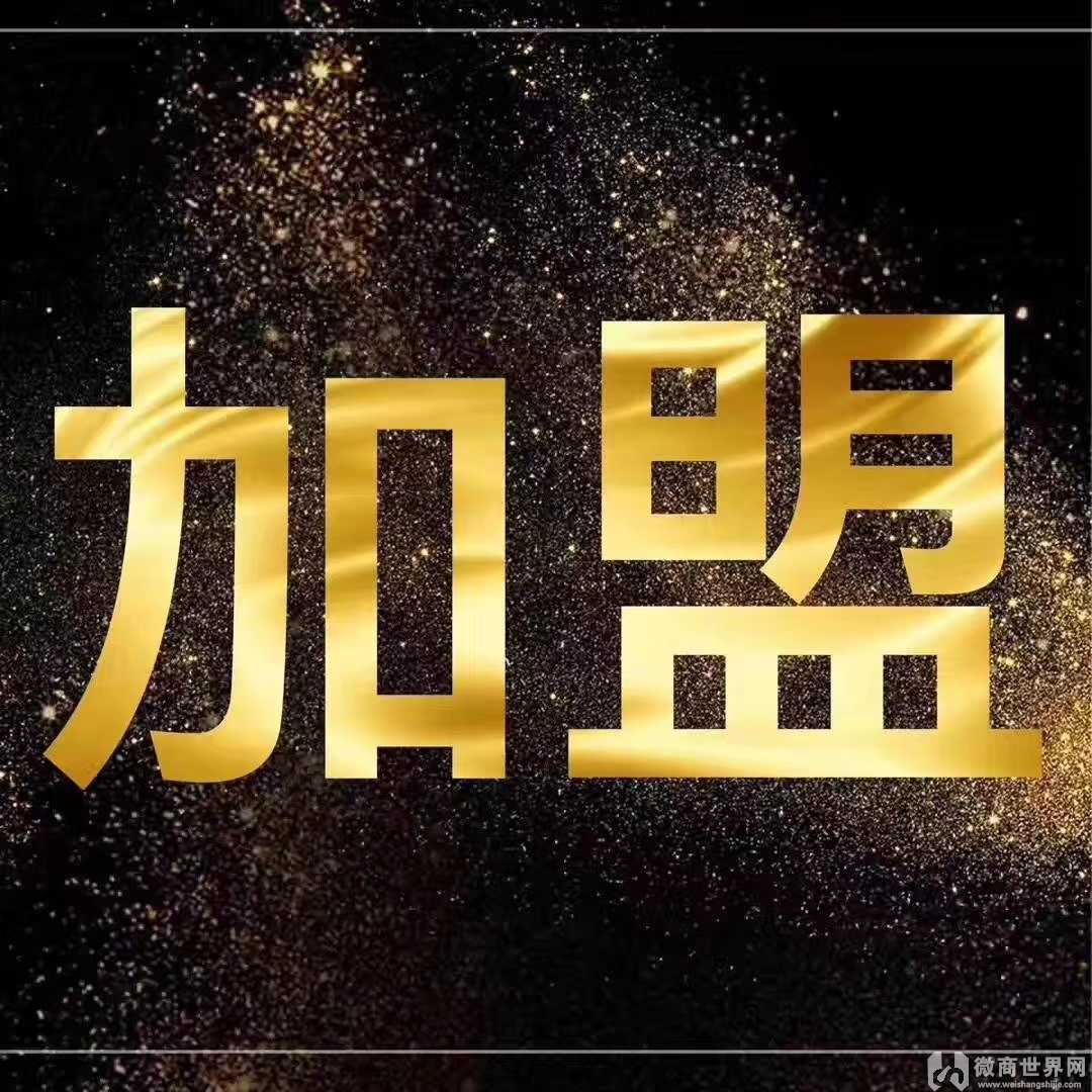 今年秋季韩版童装 微商童装免费代理